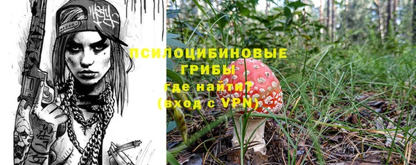 метадон Алексин